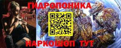 мдма Можга