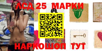 индика Моздок