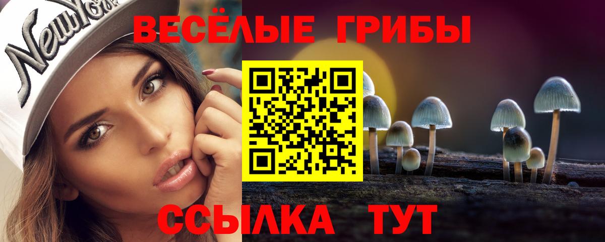 Псилоцибиновые грибы Cubensis  Вход с VPN  Ханты-Мансийск 